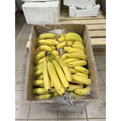 Banán žlutý SLEVA, 18,2kg