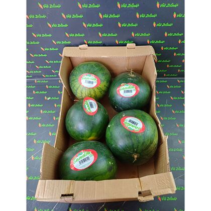 Meloun vodní mini, 20kg (5ks)