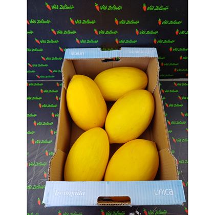 Meloun medový Honey dew, 5ks (10kg)