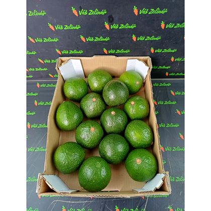 Avocado Nabal, 14ks