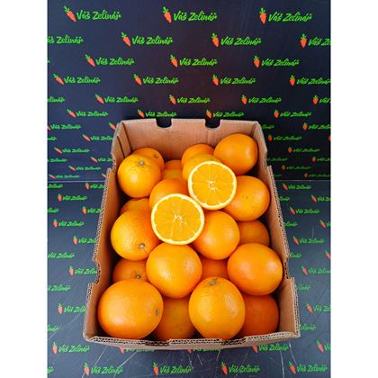 Pomeranče velké 48ks (15kg)