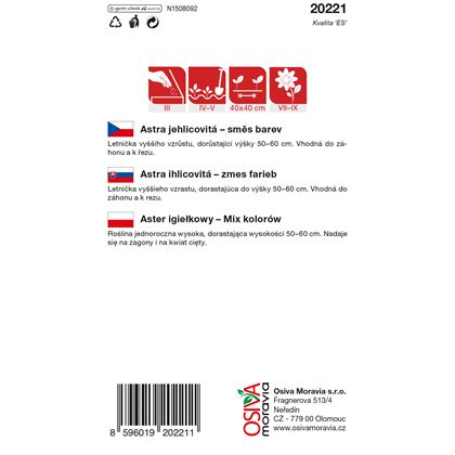 Osiva - Astra čínská - Callistephus chinensis, 10ks