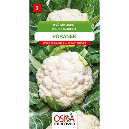 Osiva - Květák PORANEK, 10ks