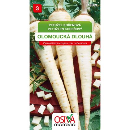 Osiva - Petržel kořenová OLOMOUCKÁ DLOUHÁ, 10ks