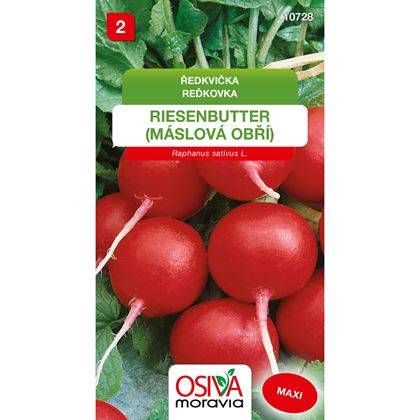 Osiva - Ředkvička RIESENBUTTER, 10ks