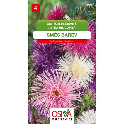 Osiva - Astra čínská - Callistephus chinensis, 10ks