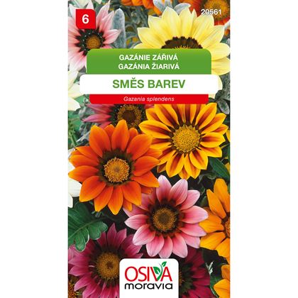 Osiva - Gazánie zářivá -Gazania splendens, 10ks