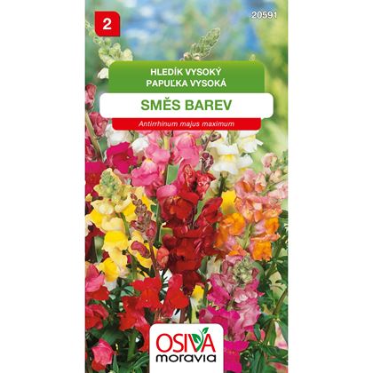 Osiva - Hledík větší nízký - Antirrhinum majus , 10ks