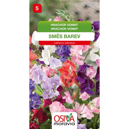 Osiva - Hrachor vonný - Lathyrus odorathus, 10ks