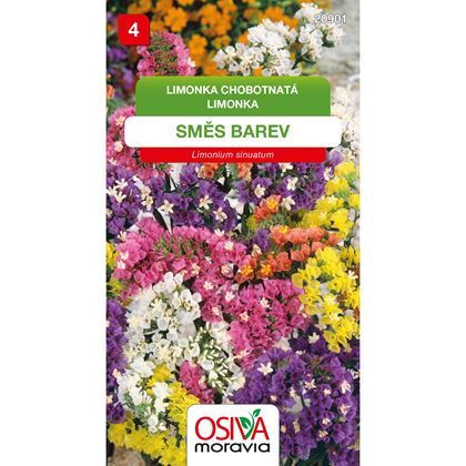 Osiva - Limonka chobotnatá - Limonium sinuatum, 10ks