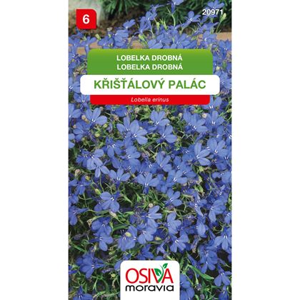 Osiva - Lobelka drobná - Lobelia erinus, 10ks