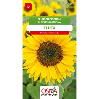 Osiva - Slunečnice - Helianthus annuus, 10ks