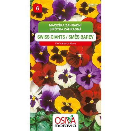 Osiva - Maceška zahradní - Viola x wittrockiana, 10ks