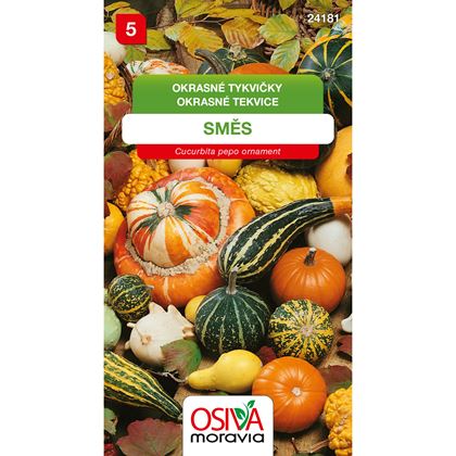 Osiva - Okrasné tykvičky - Cucurbita pepo, 10ks